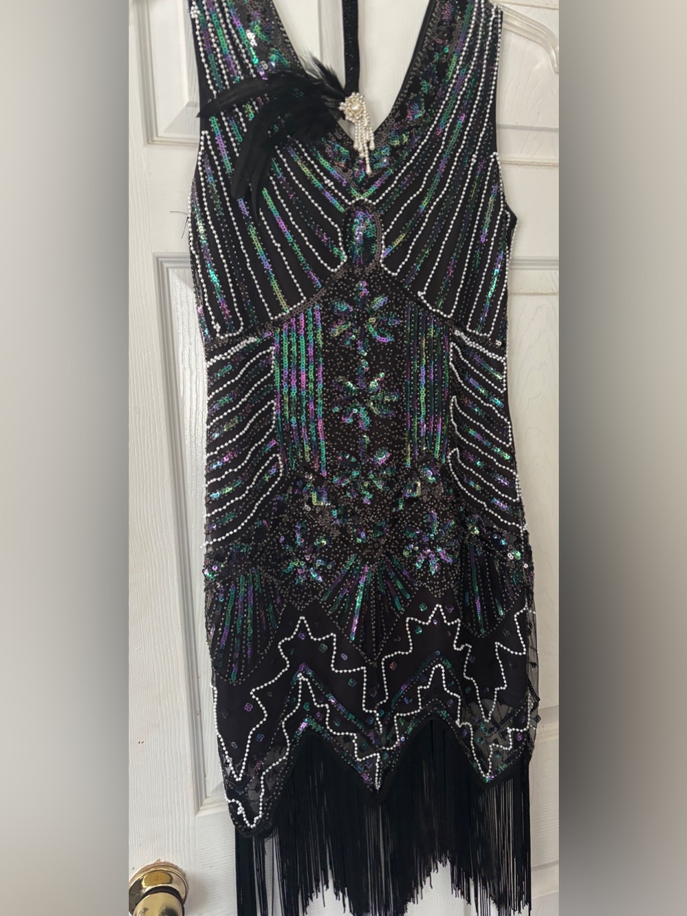 Great Gatsby/ Flapper Halloween Dress with matching feather headband.